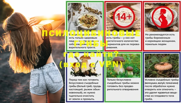 ешки Протвино